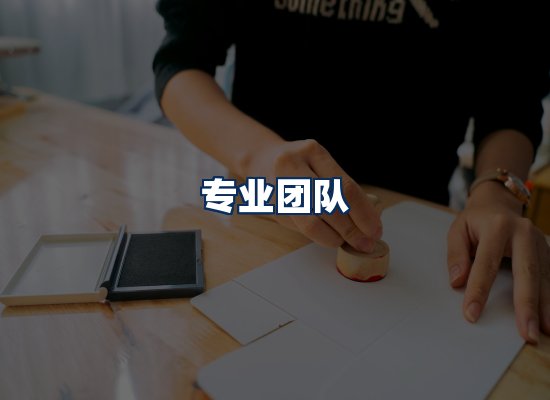 专业团队